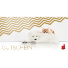 Anifit 10 EUR Gutschein ONLINE (1 Piece)